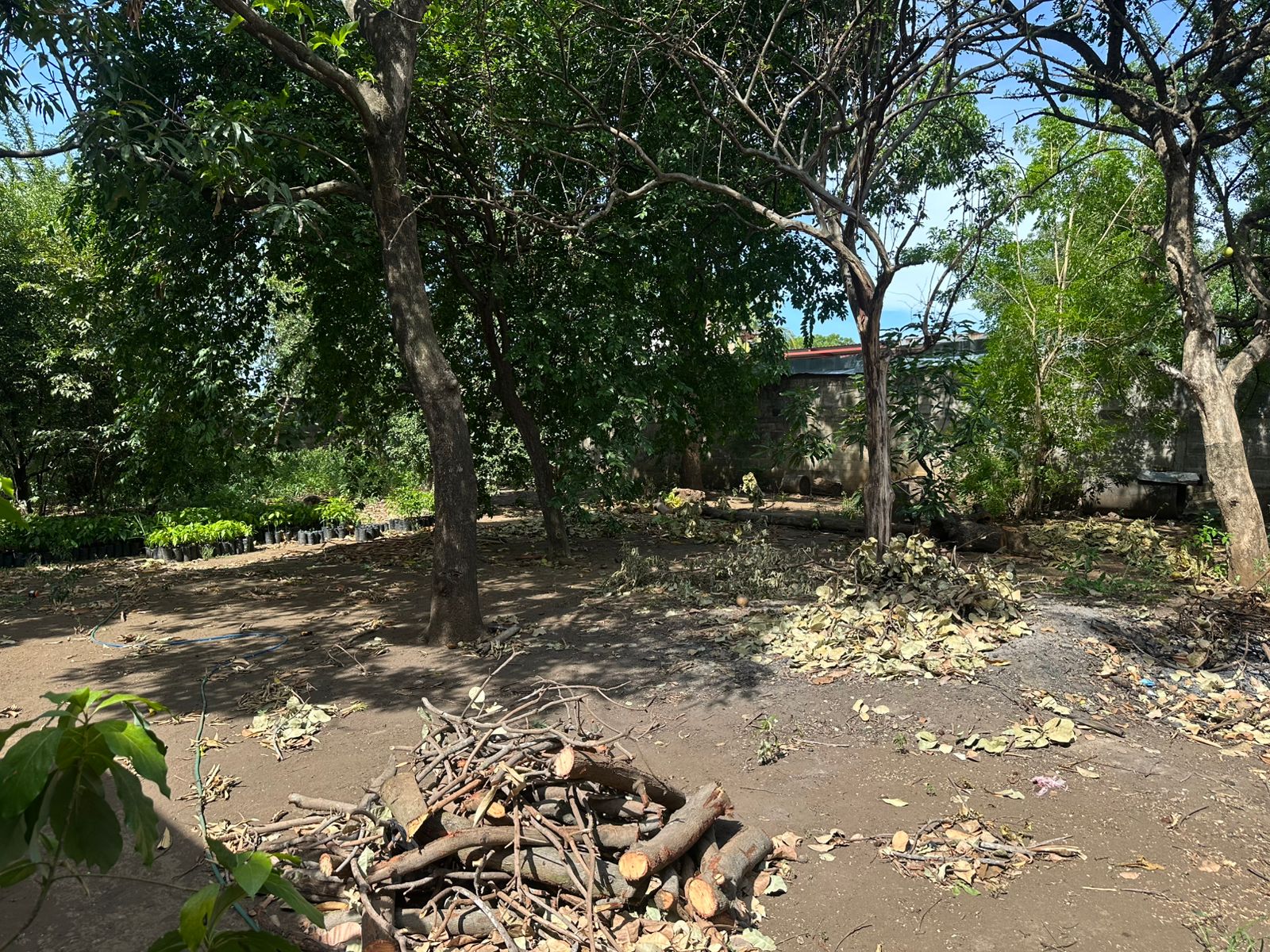 Imagen de una propiedad 2